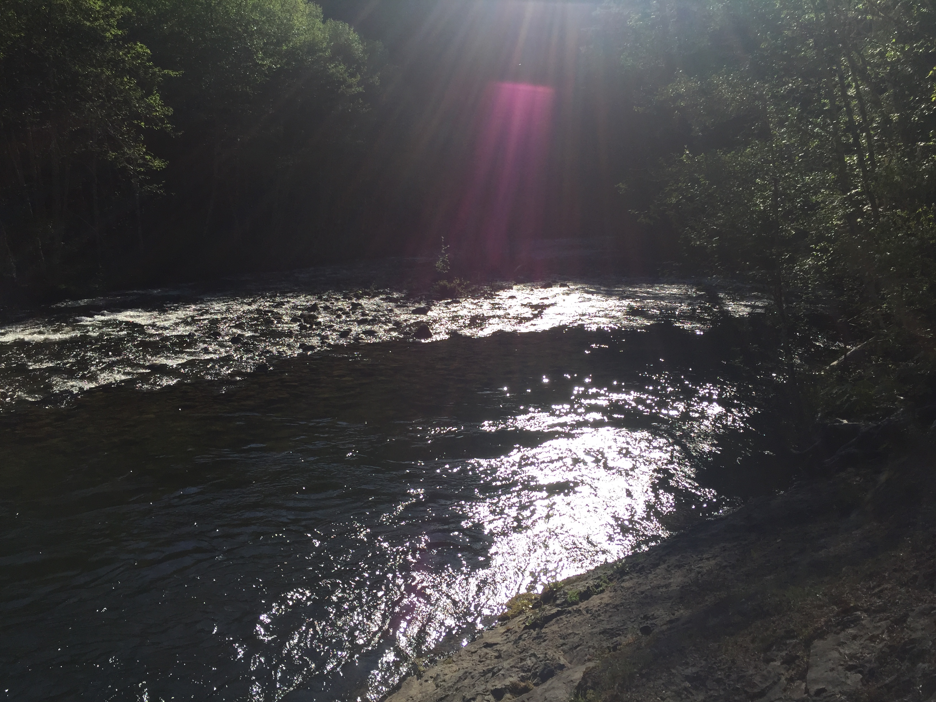 Mount Hood- Salmon River Trail
