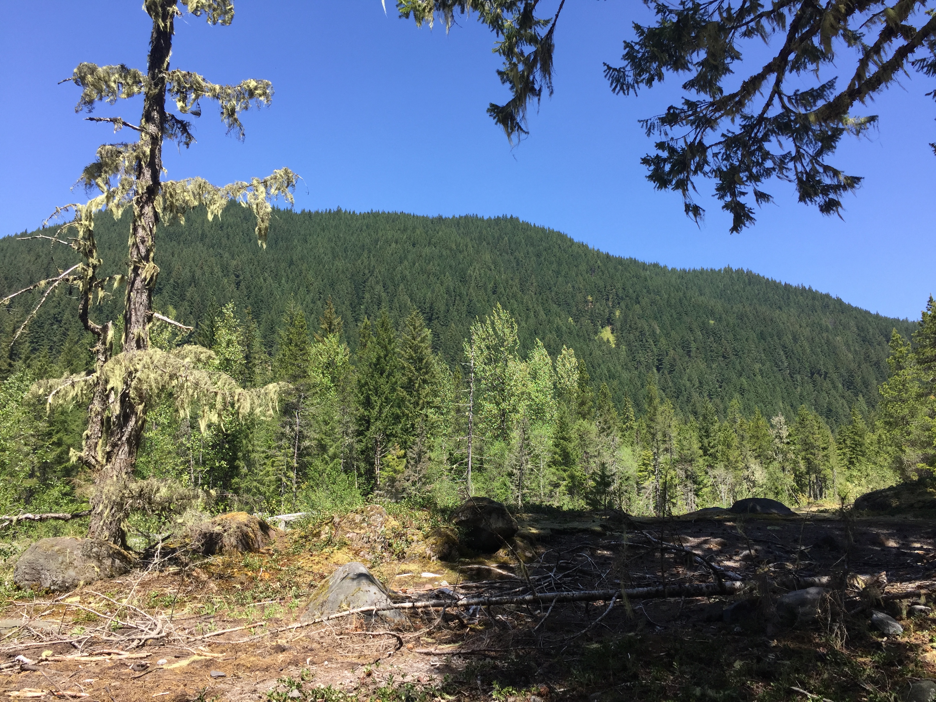 Mount Hood- Ramona Falls Trail