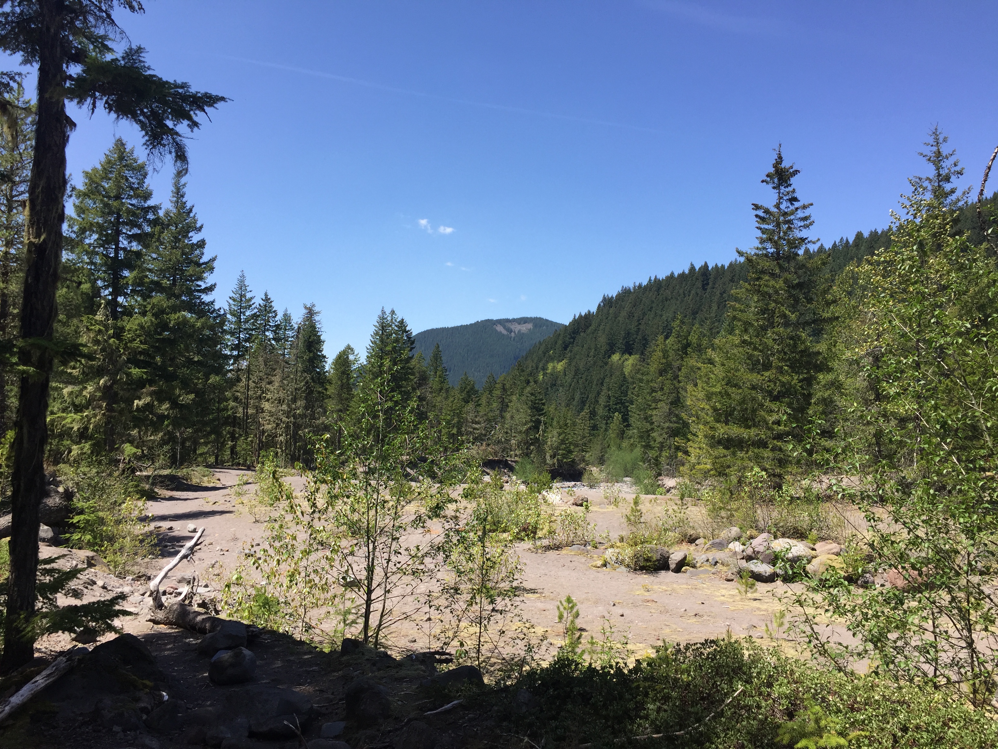 Mount Hood- Ramona Falls Trail