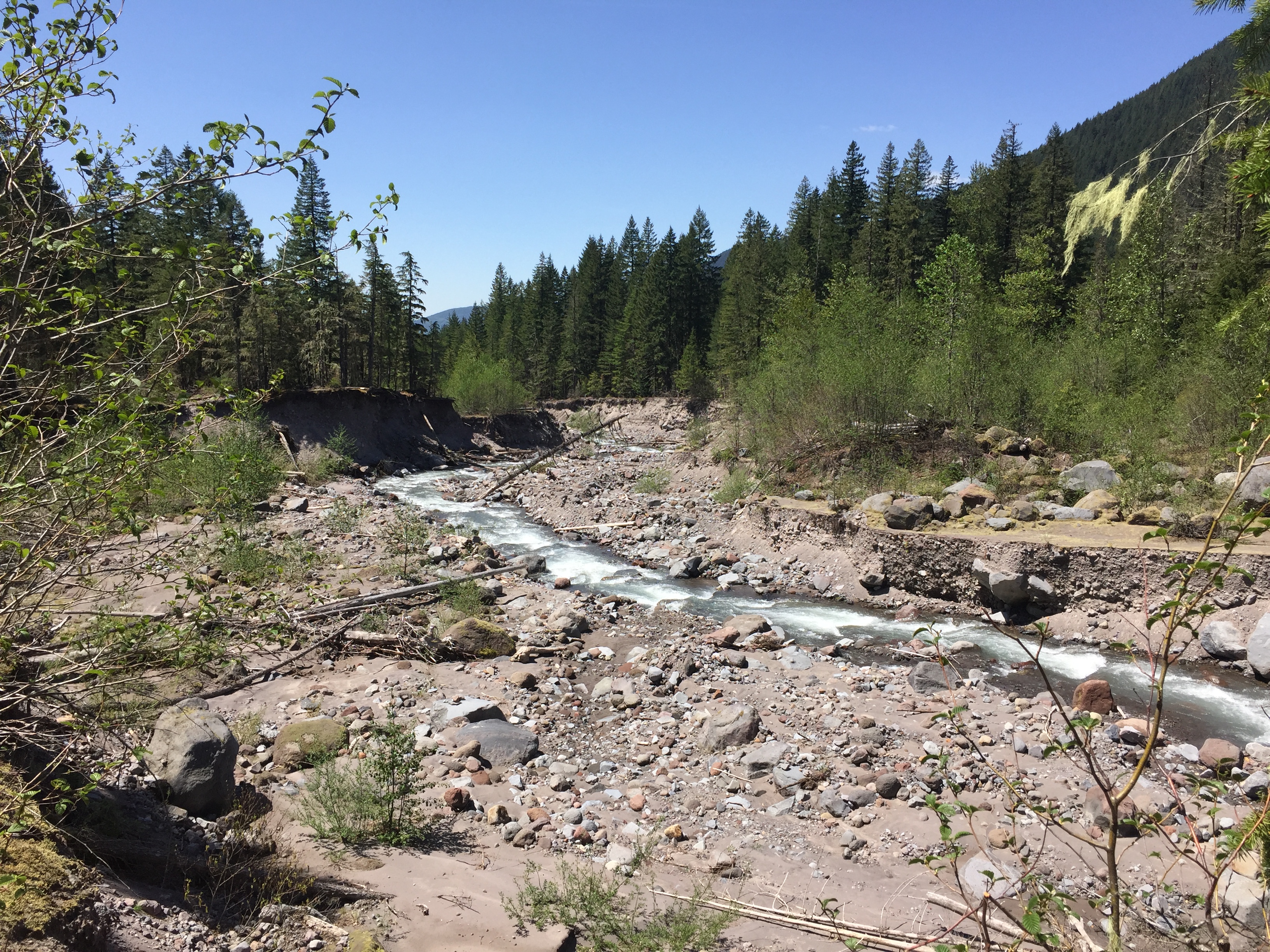 Mount Hood- Ramona Falls Trail