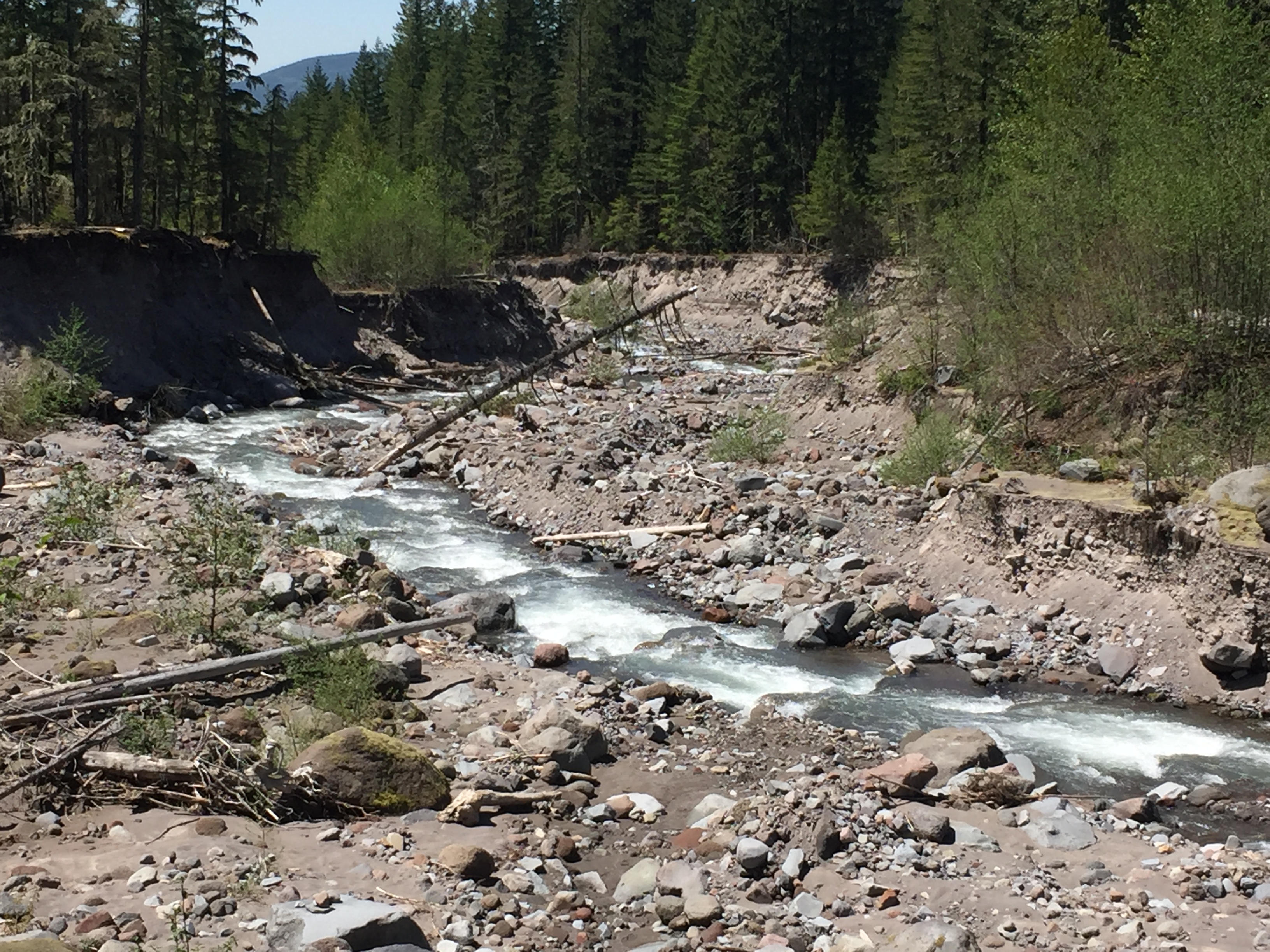Mount Hood- Ramona Falls Trail