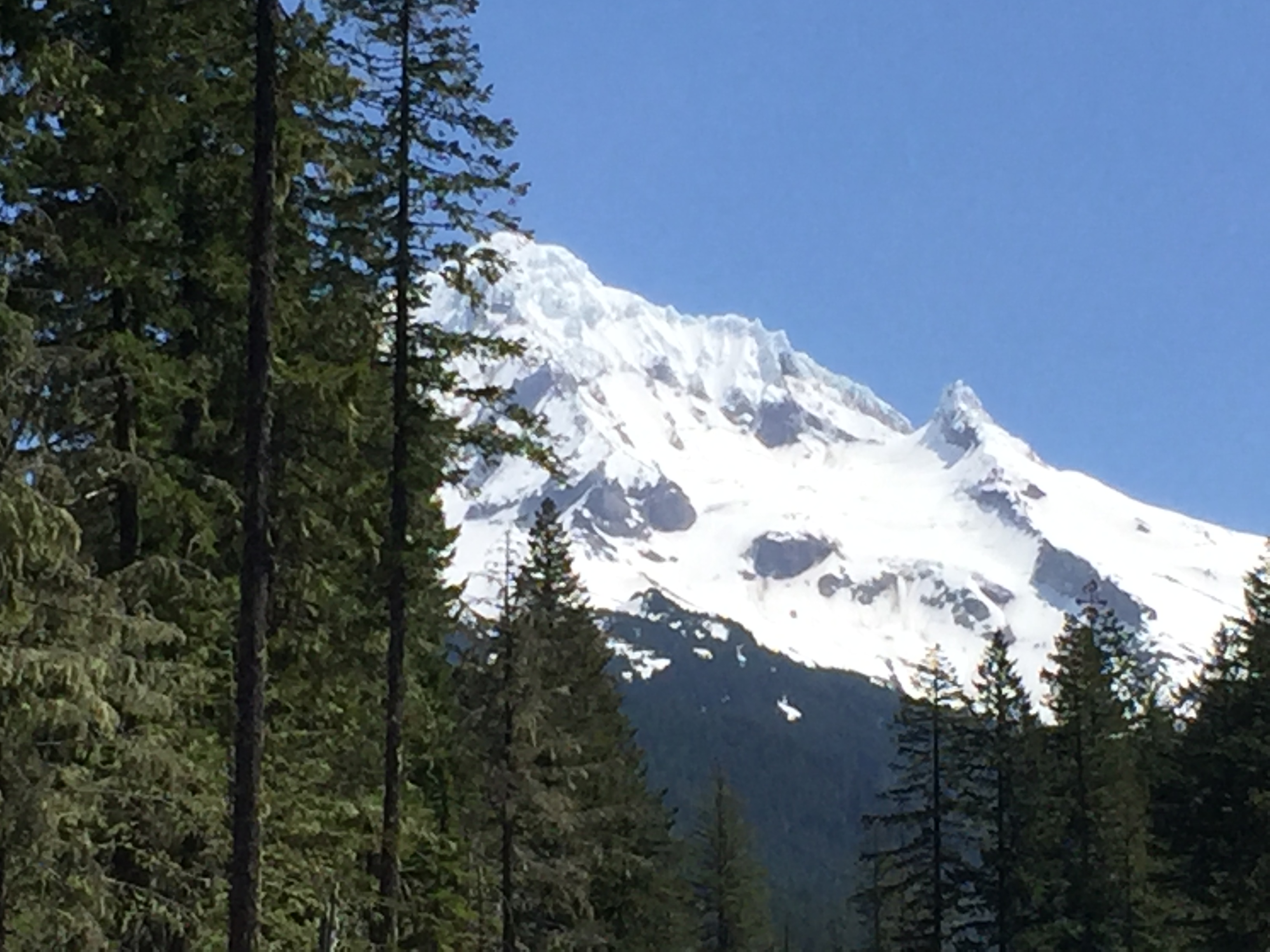 Mount Hood- Ramona Falls Trail