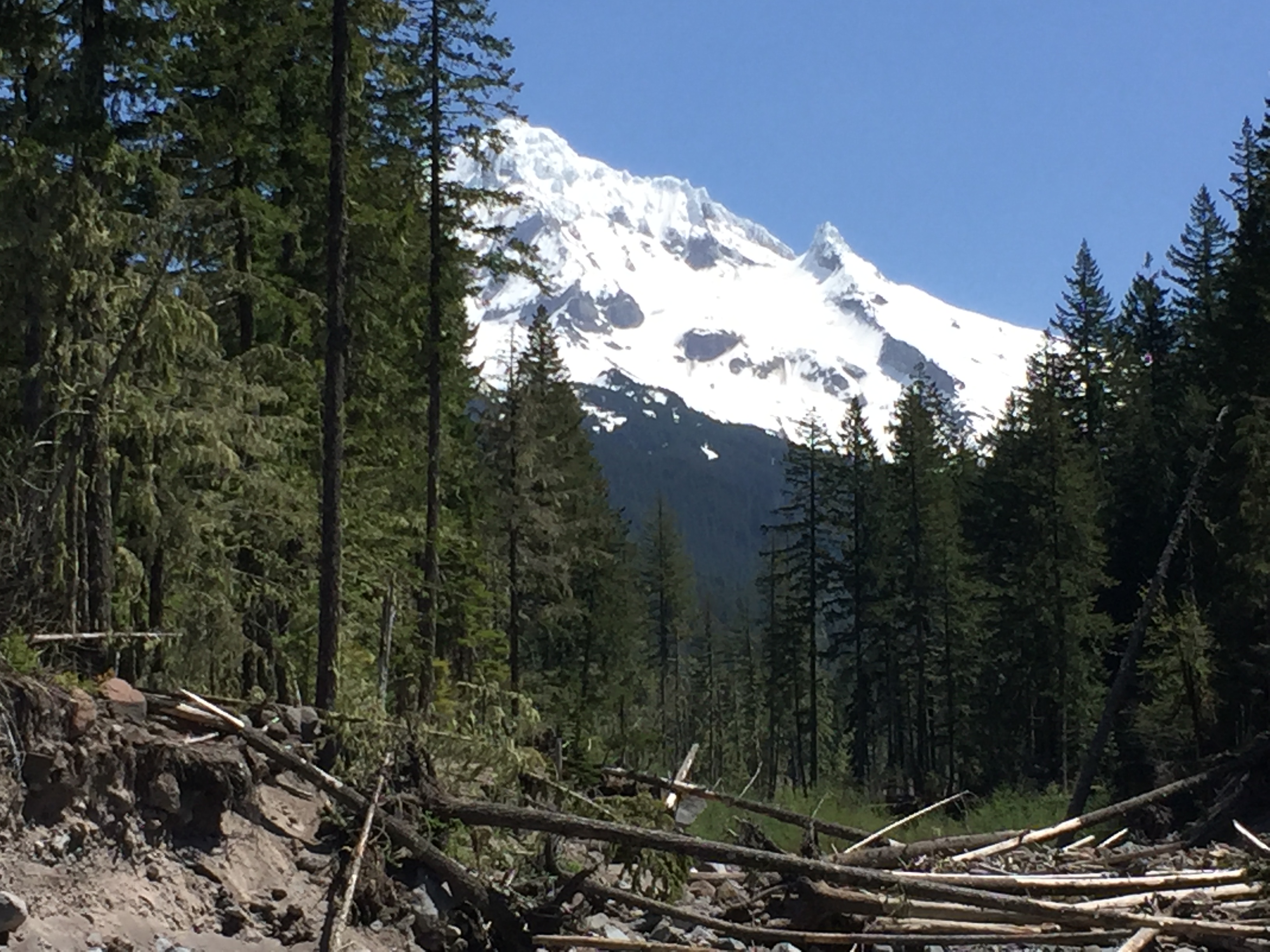 Mount Hood- Ramona Falls Trail