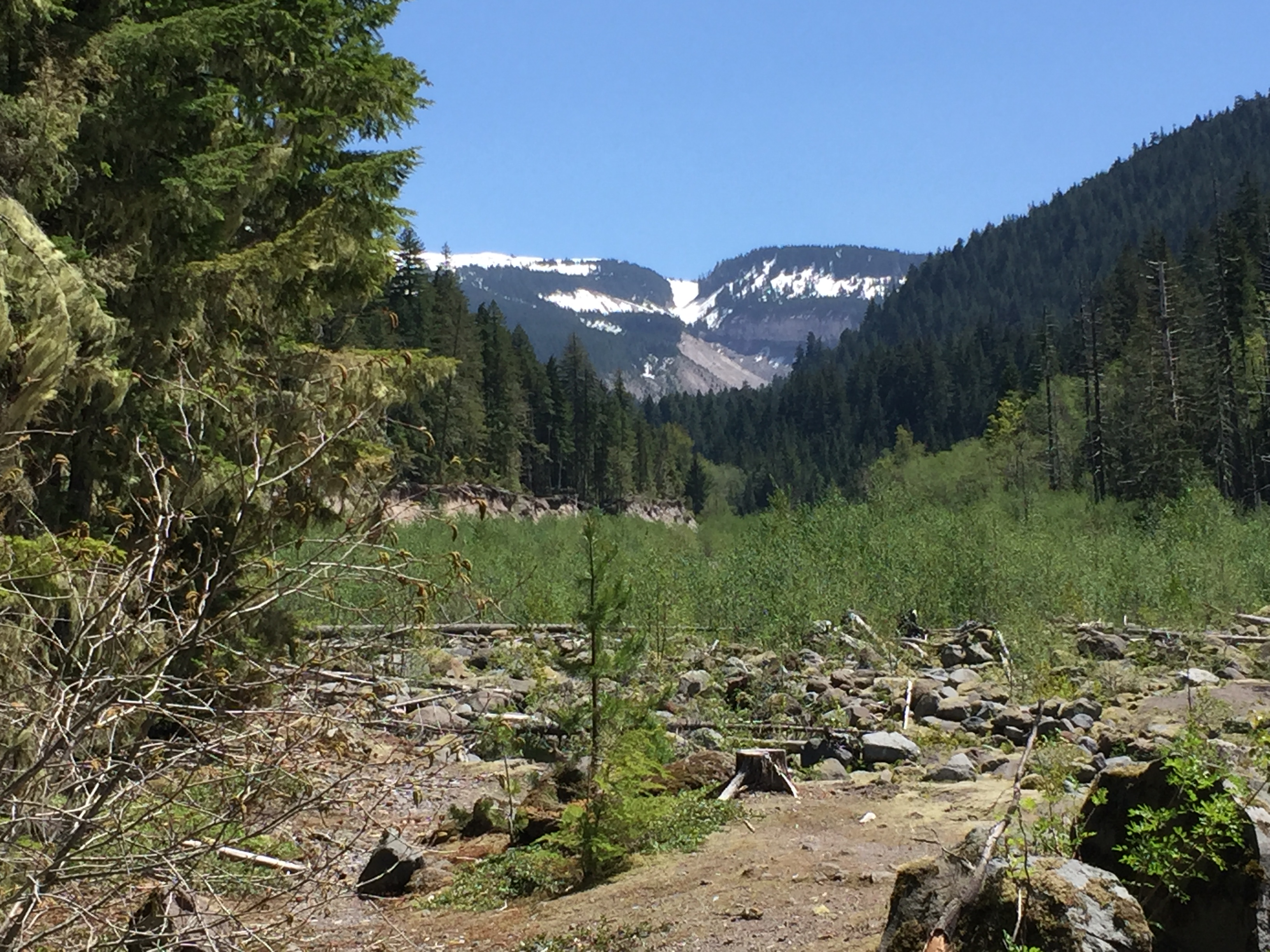 Mount Hood- Ramona Falls Trail