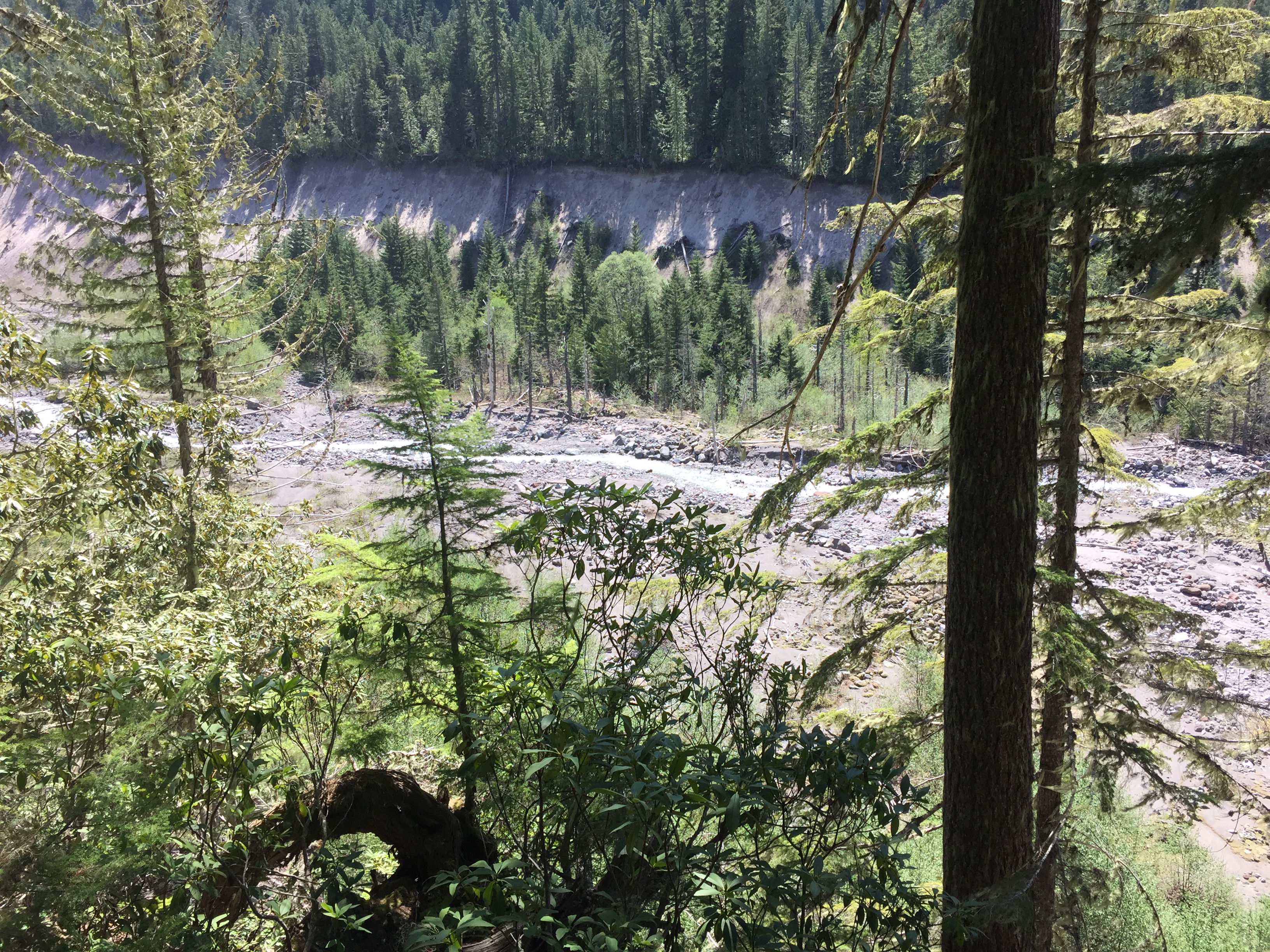 Mount Hood- Ramona Falls Trail