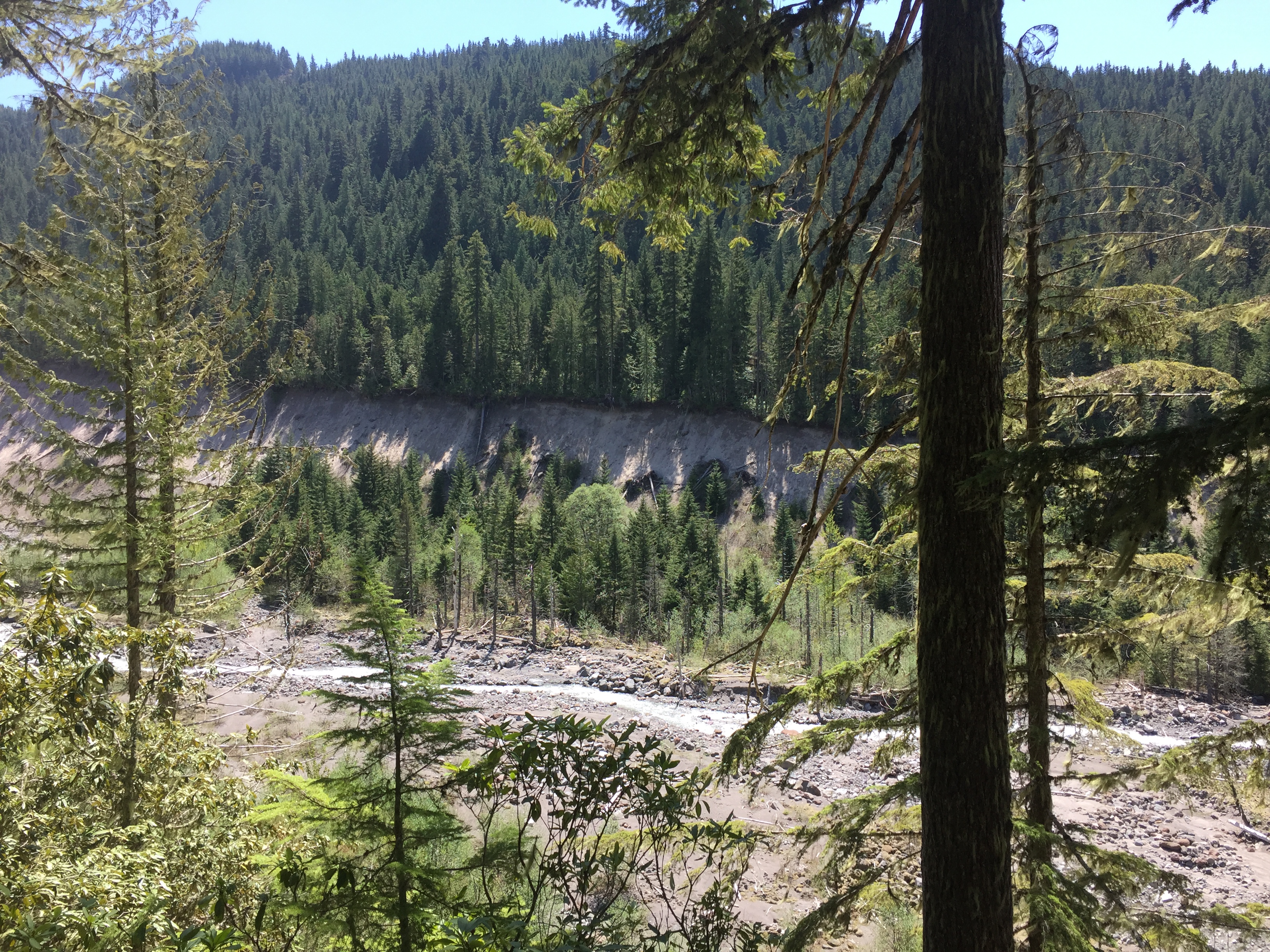 Mount Hood- Ramona Falls Trail