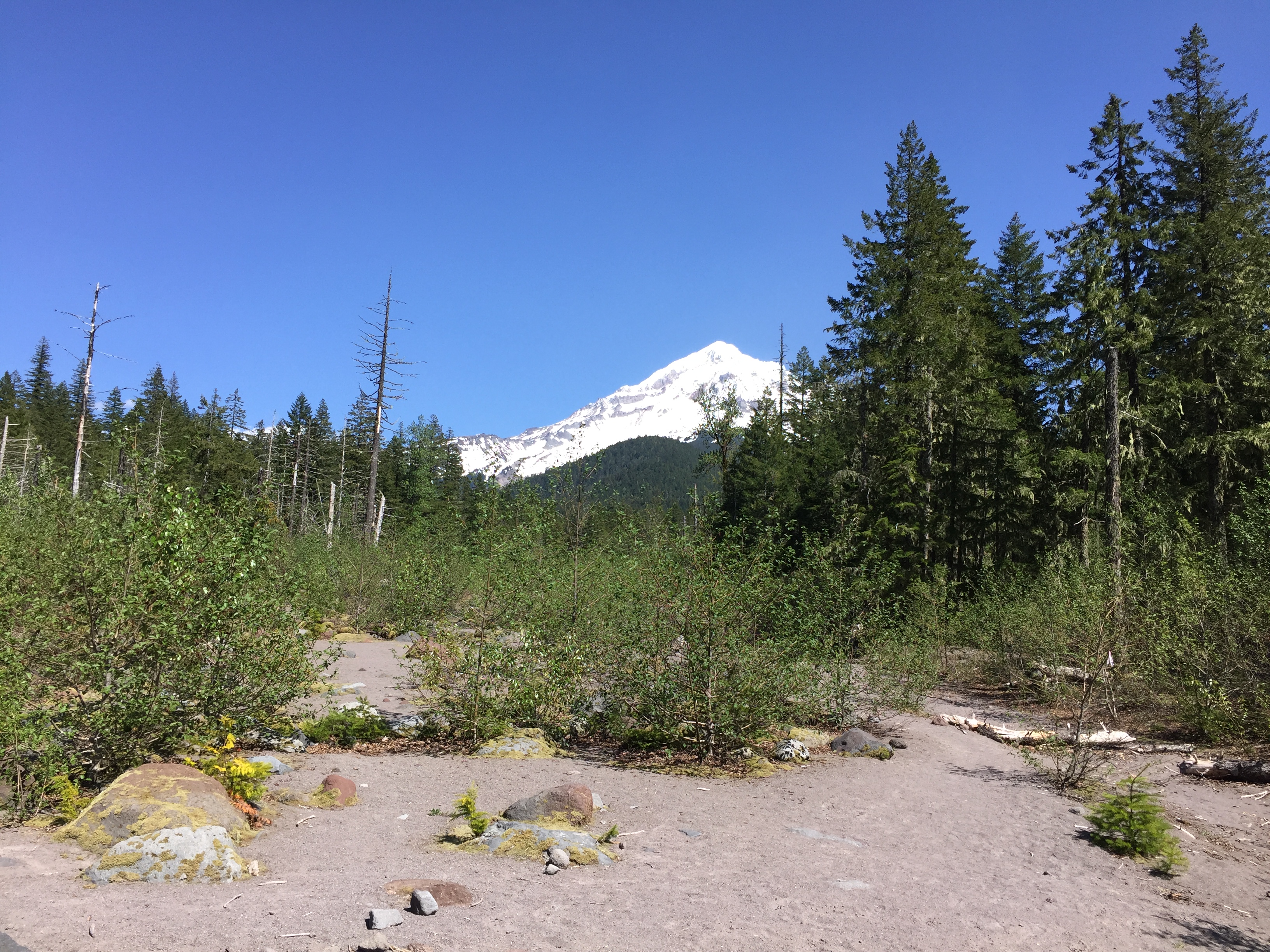 Mount Hood- Ramona Falls Trail