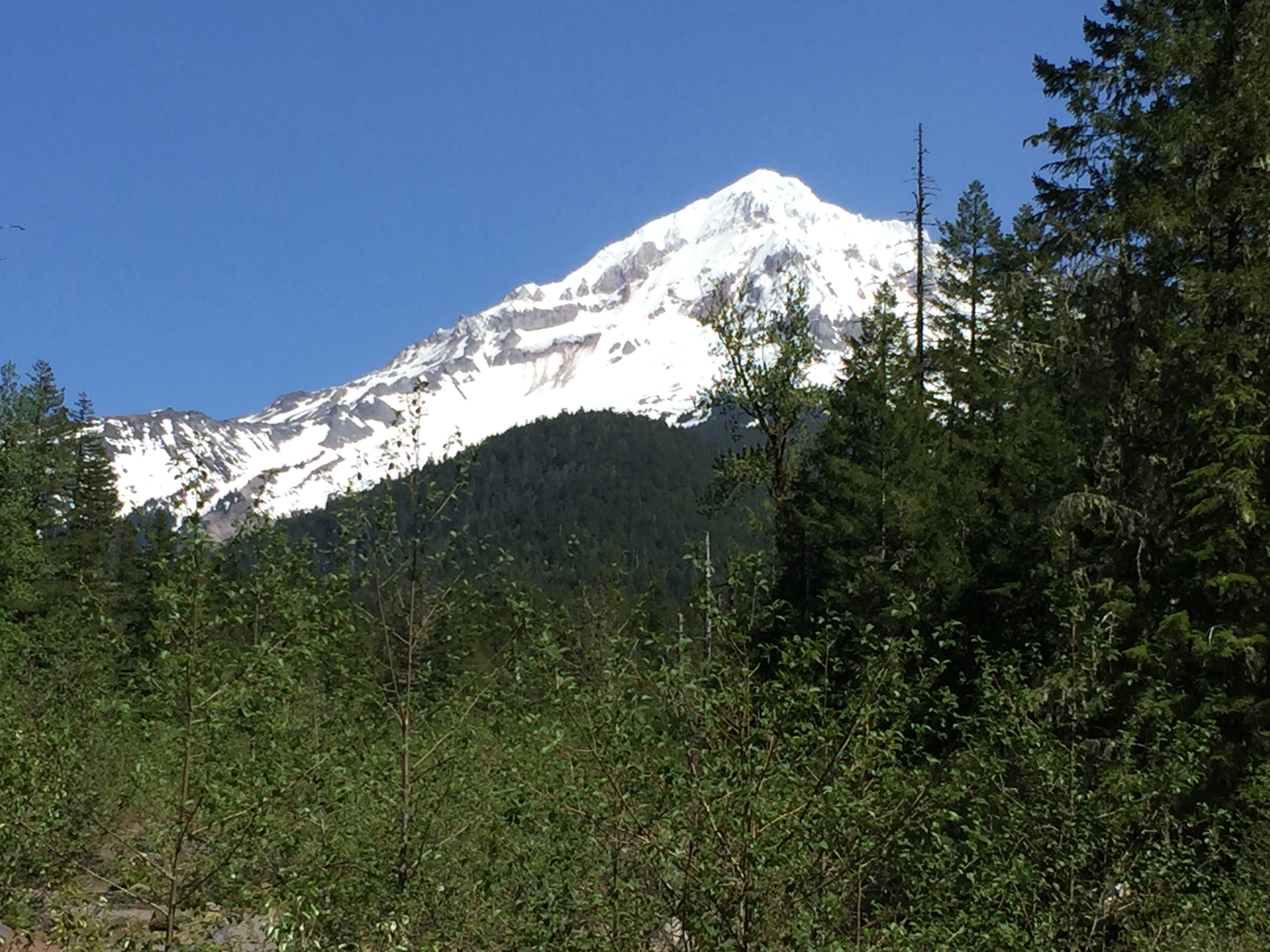 Mount Hood- Ramona Falls Trail- Eugene Trip