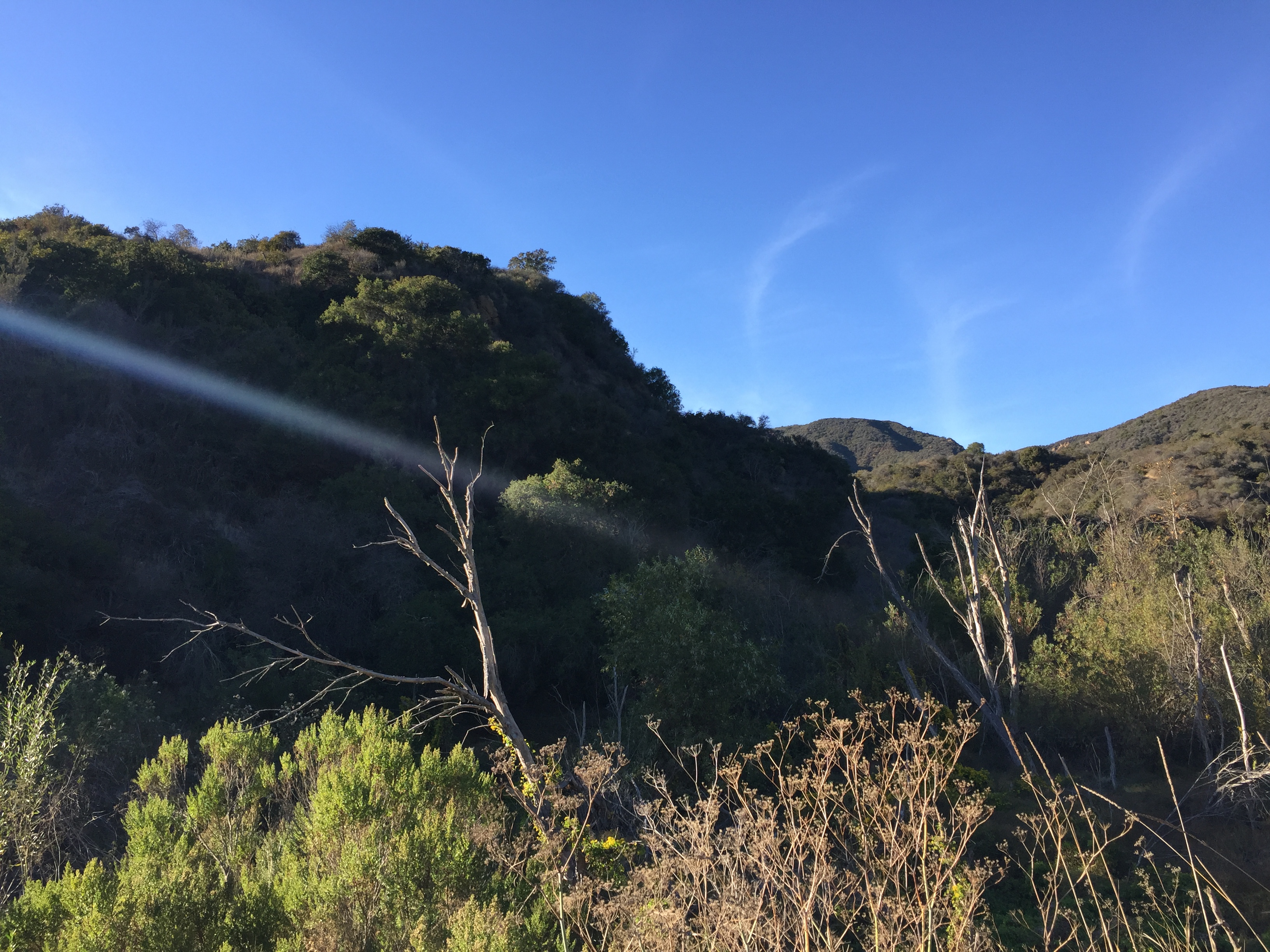 Santa Monica Mountains