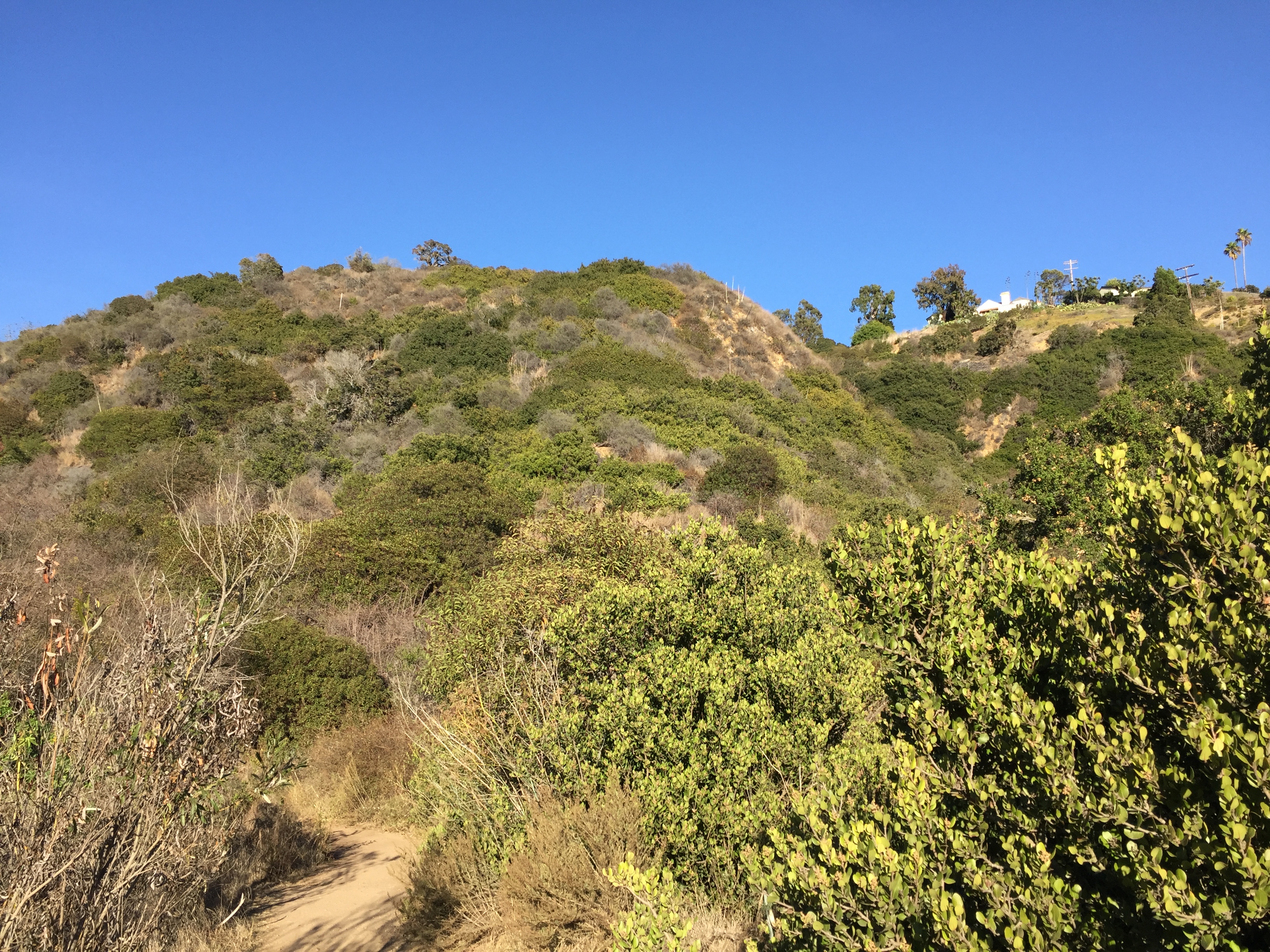 Santa Monica Mountains