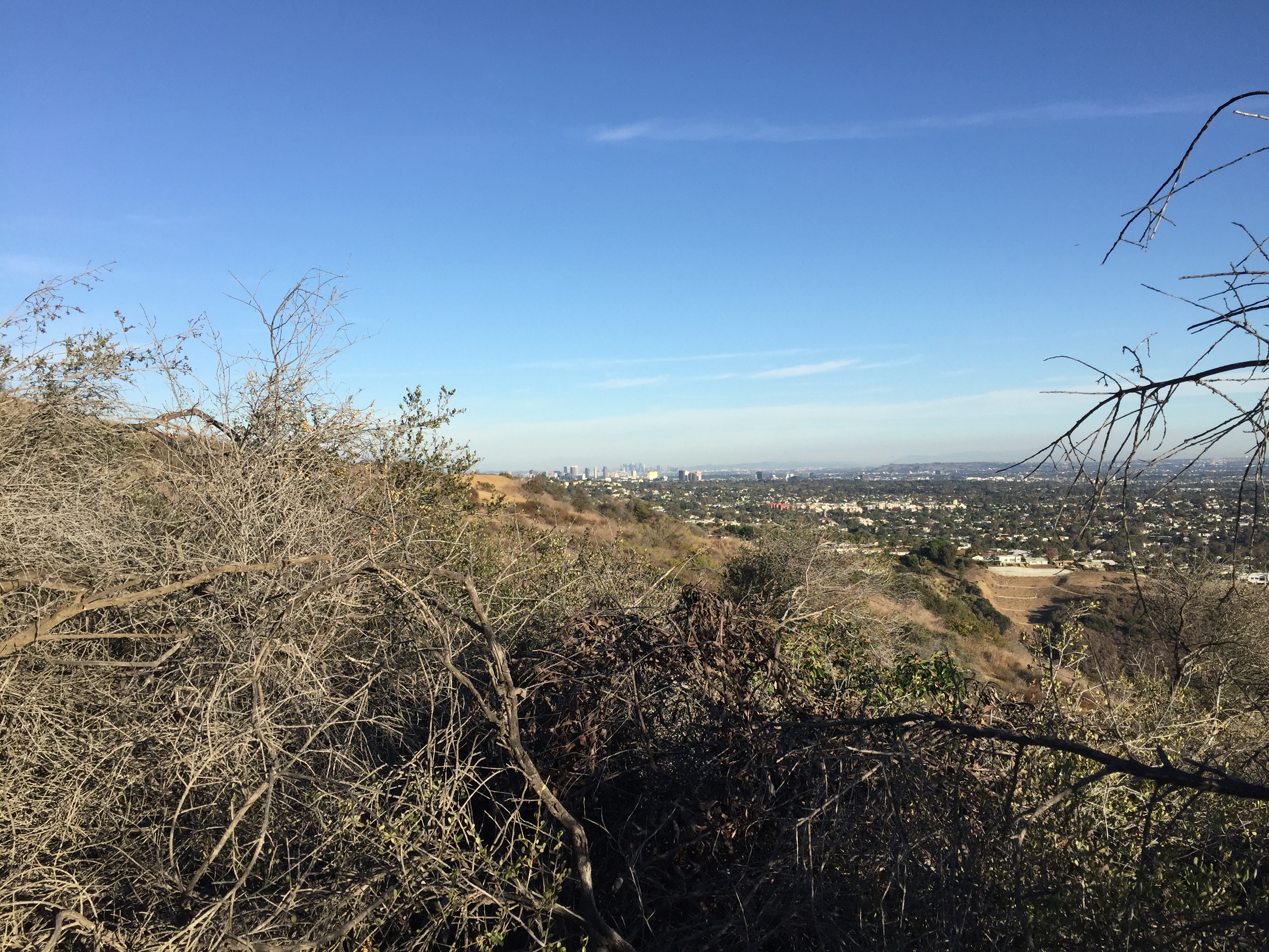 Santa Monica Mountains