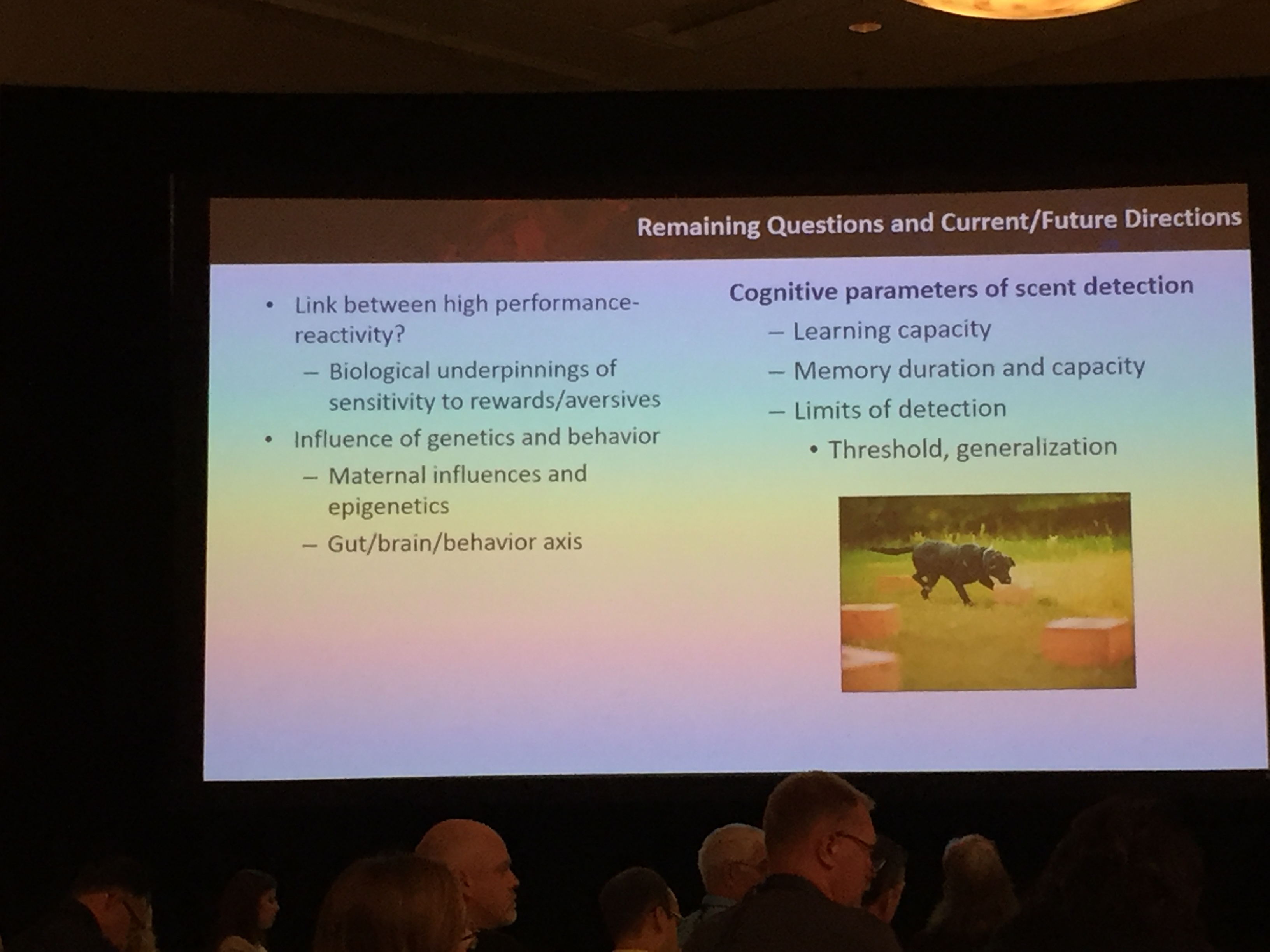 Questions and directions for improving future detection dog outcomes.