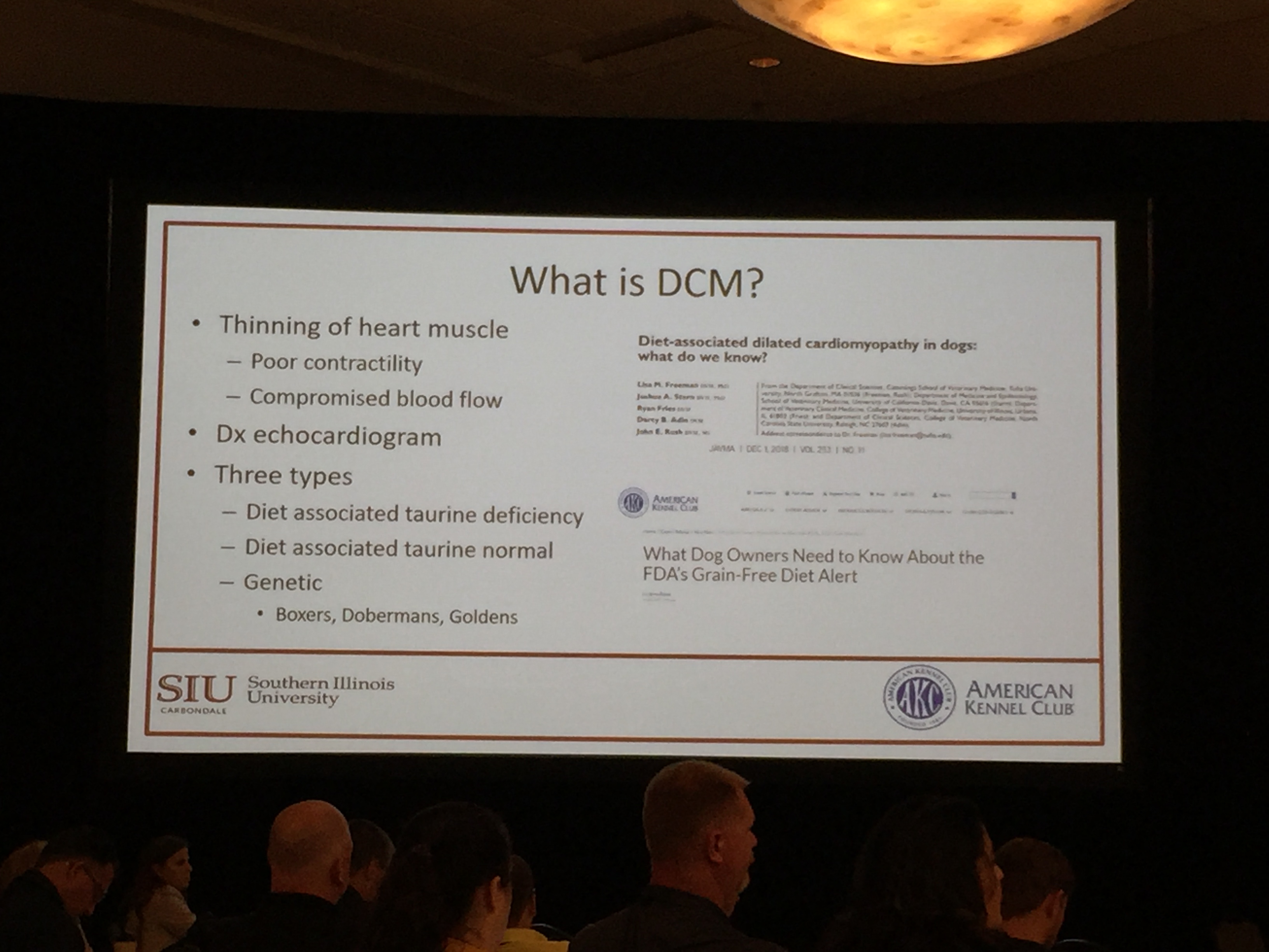 2019 AKC US Detection Dog Conference.  A Powerpoint slide in Dr. Perry's presentation explaining the characteristics and origins of dilated cardiomyopathy (DCM).