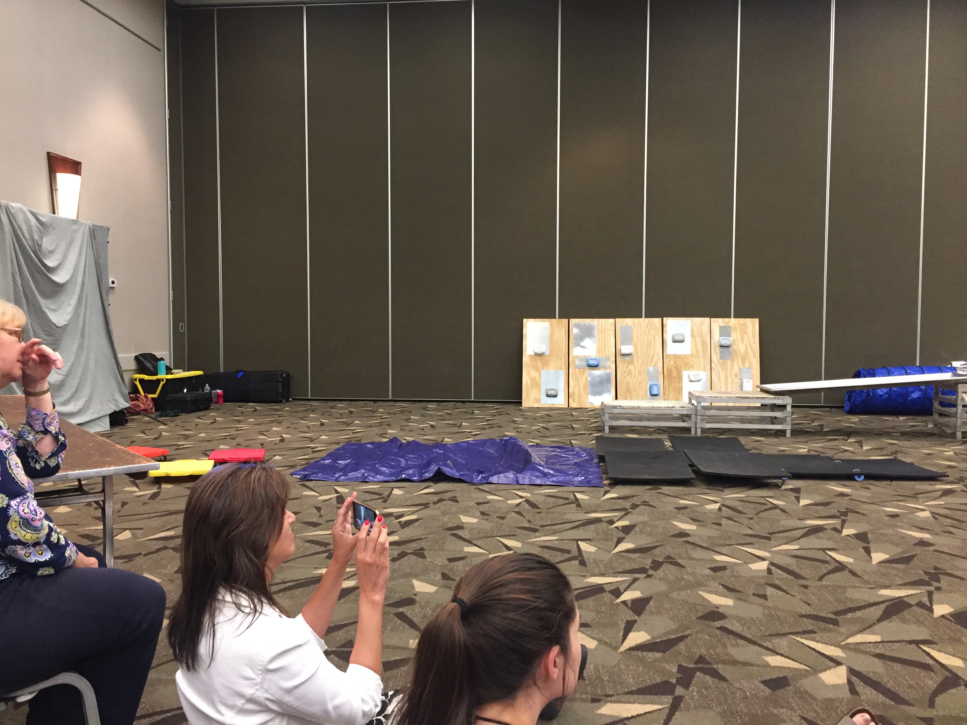 2019 AKC US Detection Dog Conference.   Environmental tolerance or lack thereof is a major reason why dogs succeed or fail as working or service dogs.  Although there are strong genetic factors that may predispose a dog to be confident and exploratory versus anxious, a well-designed early conditioning program maximizes the dog's future potential.