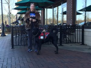 CPT Service Dog Trainer Lisa Carroll educating Hank in a public venue. Please note that CPT respects the confidentiality of our service dog clients. This story was approved by our client, who wishes to improve public knowledge of schizophrenia and the benefits provided by psychiatric service dogs.
