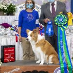 Obedience- CPT Trainer Karen Smalley Wins Obedience Competition