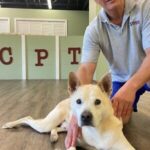 The Atlanta Jewish Times featured CPT's Mark Spivak, who discussed modifying canine and feline anxiety.