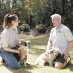 CPT Trainers Ellie Dunn and Mark Spivak discuss how to treat canine PTSD.