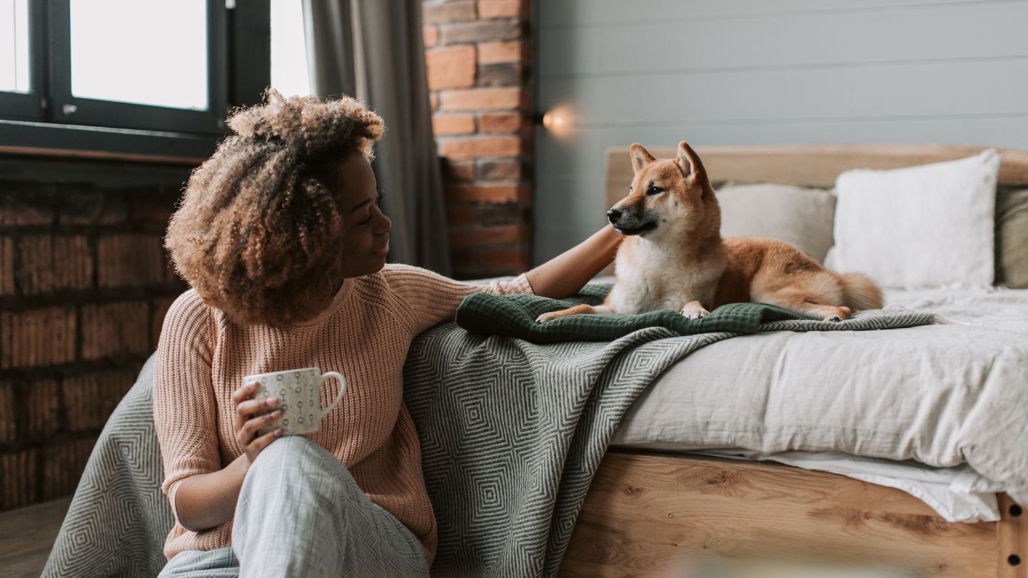 Choosing Truly Dog-Friendly Places to Stay