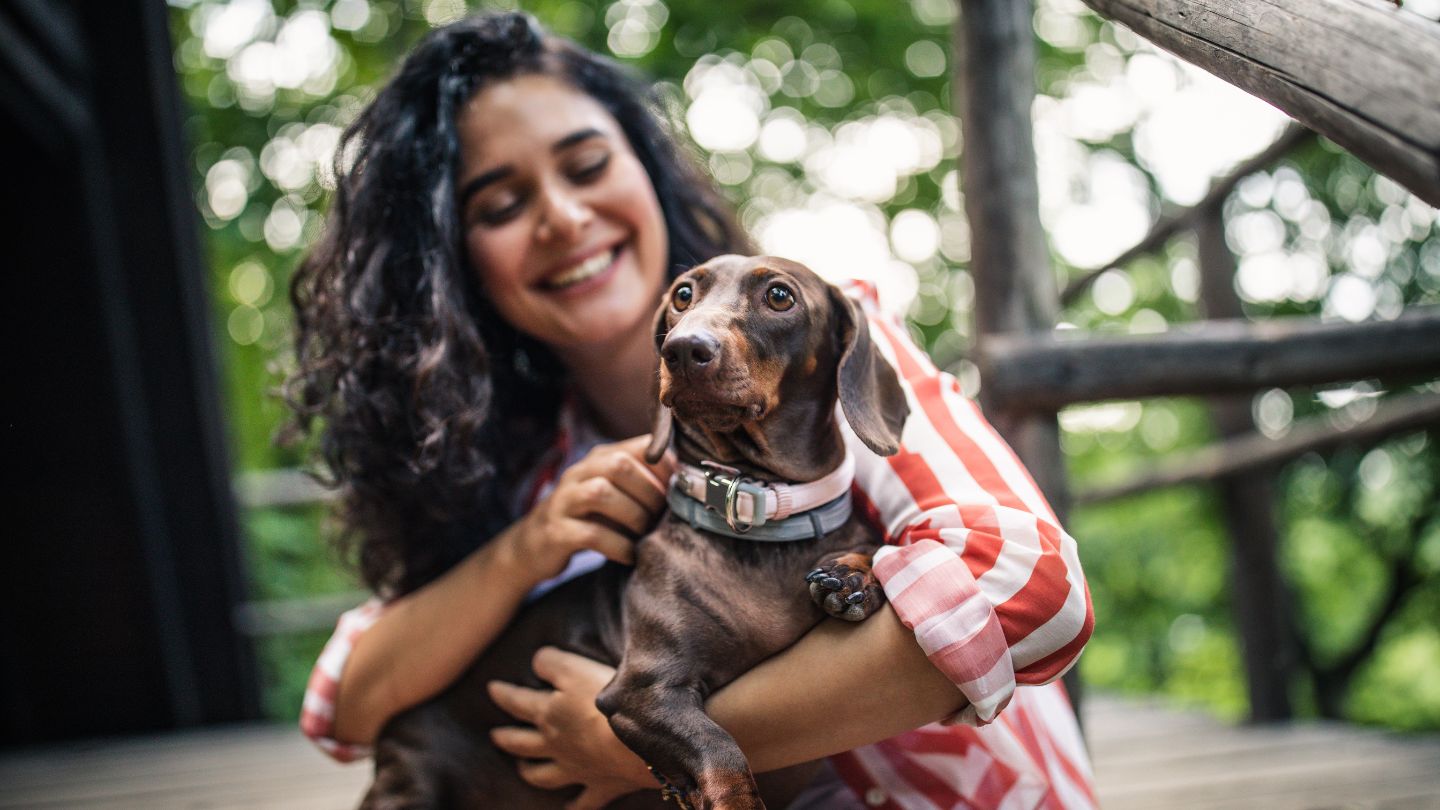 Preparing Your Dog Emotionally and Behaviorally