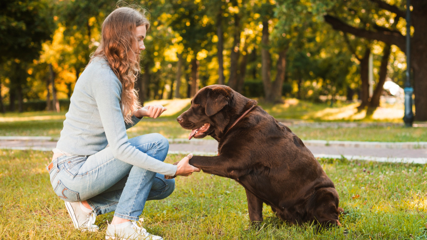Achieving Lasting Behavioral Change Through Structured Training