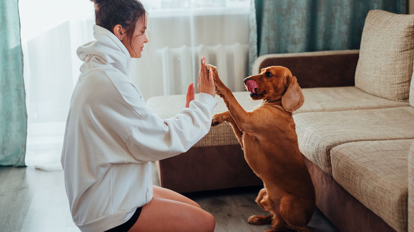 Building a Stronger Bond Through Personalized Training