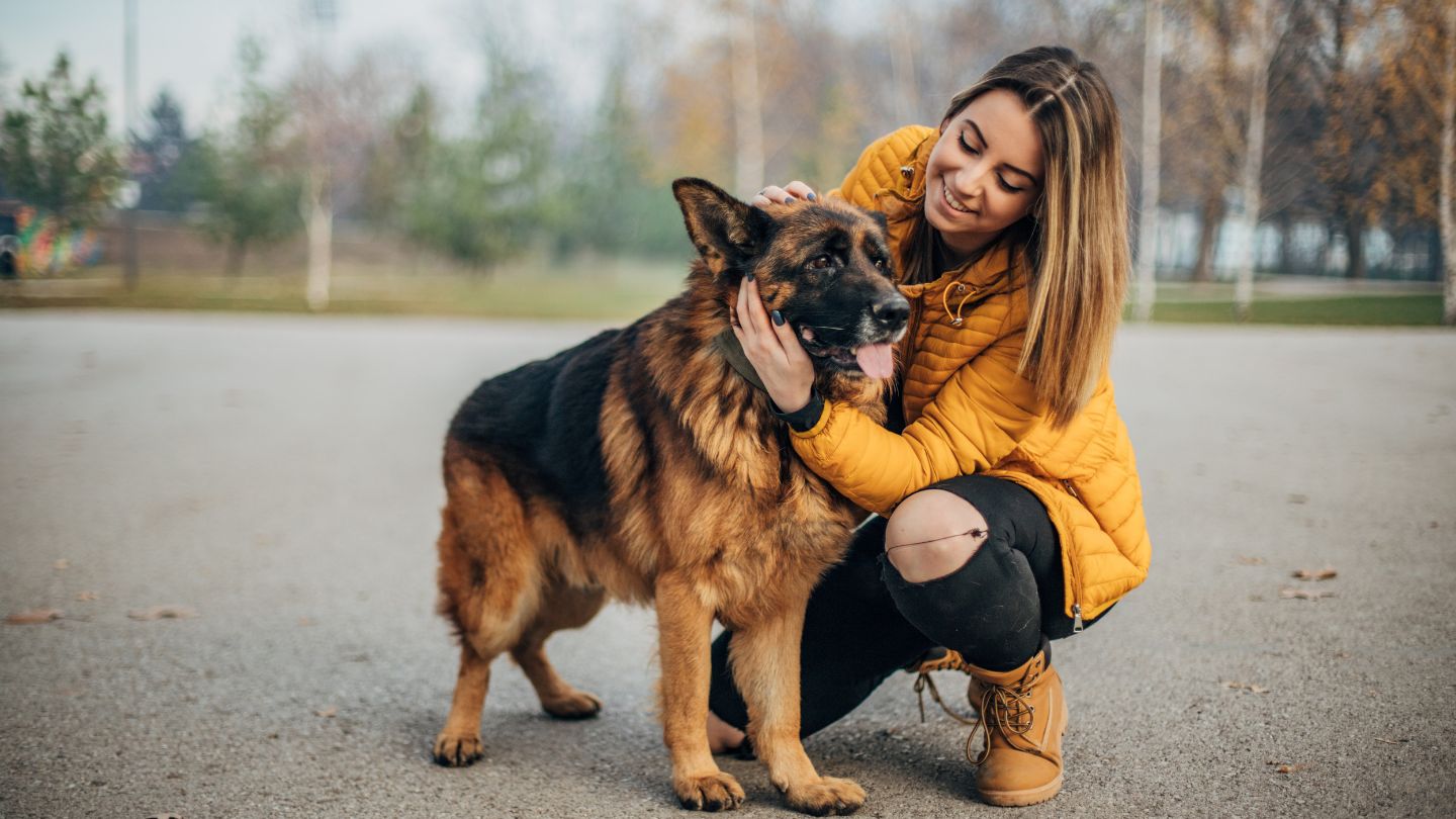 The Owner's Role: Consistency, Practice, And Communication